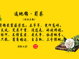 遍地锦·蜀葵