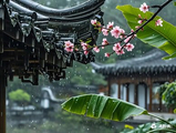 听雨｜古诗词集句