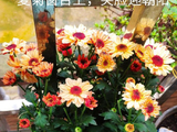2026，记录遇见，留下画面（9）