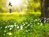 西江月.岁见大暑