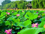 [转载]6453、七律——泉城之夏（新韵）