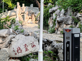 13017七绝·泉城之珍珠泉院：曾巩手植宋海棠-济南消夏202608(47)