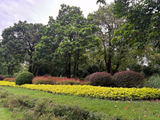 [转载]【四川成都】二环路西一段街景