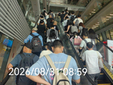 又来广州图书馆、听到了开馆曲、晨雨