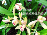 2026，记录遇见，留下画面（12）