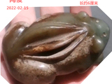[转载]15生育蛙
