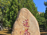 丙午初秋.新甫山秋聚