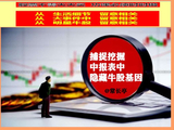 常长亭：国内A股又一次迎来行情大利好