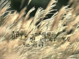 【新编诗与詞】低吟姚鹤笙君《五律-忆荒年南乡思归》鸠拙一首