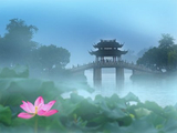 七绝.四季荷（平水韵）