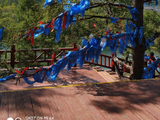 那年从乌兰浩特去阿尔山旅游（三十三）
