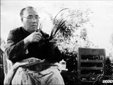 朱德咏兰花诗
