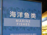 蓝色宝库