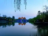 晚年知天命，余生皆清欢