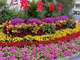 275@365-2026——十一假期第二天