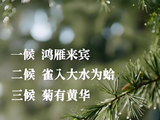 五绝丙午寒露