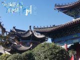 有故事的“槐树岭”