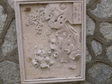 滨州浦园游览观光（4）