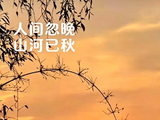 《岁月自悠悠》
