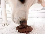 这个配图更直观一点
