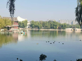 一旺碧水，一园容纳，静谧安宁，生态泰然，人鸭各安，人与自然，相融共乐——记游龙潭湖公园有感