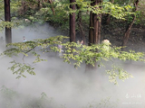 林壑烟岚