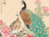漏拍（213）《于非闇、宋徽宗绘画欣赏》