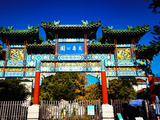 万寿公园观秋色