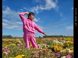 辽阳“菊花园”（2）