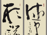 杂文书