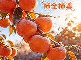 霜降送柿，好柿连连（转自忘忧博客）