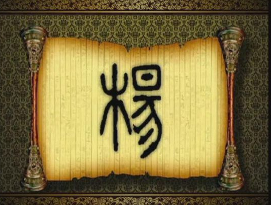 天下杨氏出华山——华阴杨氏