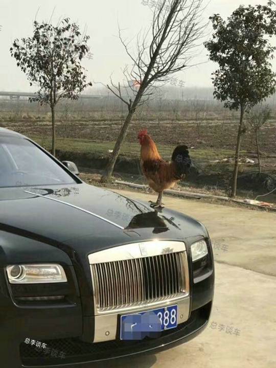 农村返城,见千万豪车,这法拉利辣法能跑起来吗?-手机新浪汽车