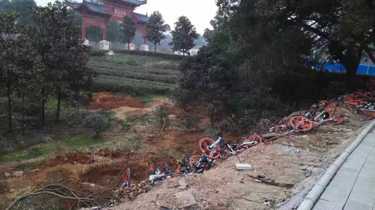 东湖绿道承认处理太粗暴 涉事保安队长被开除