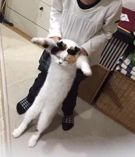 情侣玩什么污污游戏 Steam有哪些好玩的黄油游戏