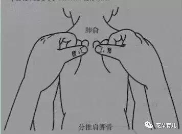用双手拇指沿孩子的双肩胛骨骨缝从上向下作弯月形分推100~300遍。