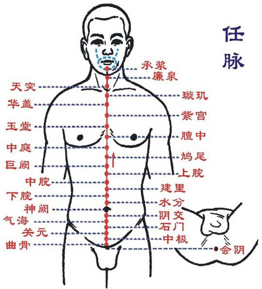 经络养生按摩手法穴位详解