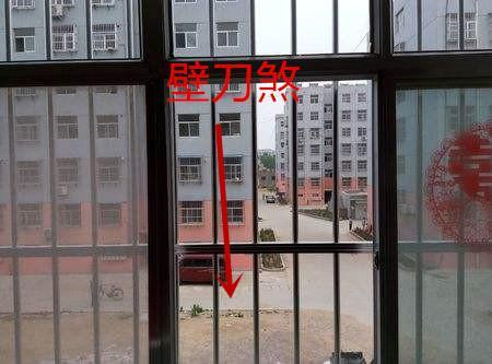风水中常见的“窗户煞气”及破解方法大全!