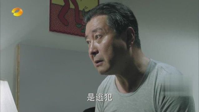 《人民的名义》人物原型揭秘,丁义珍原型真有其人?