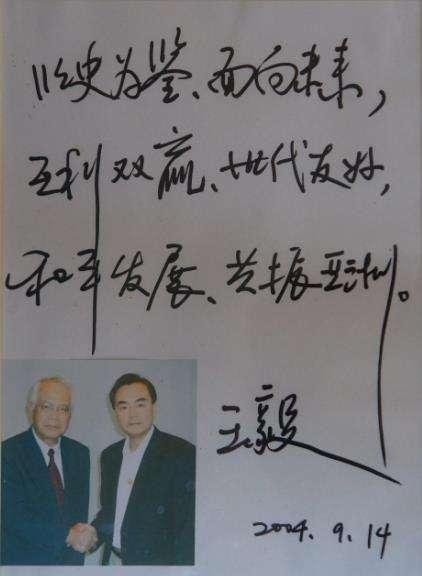 外长王毅书法欣赏:人干练,字潇洒,笔下有力道!_新浪新闻