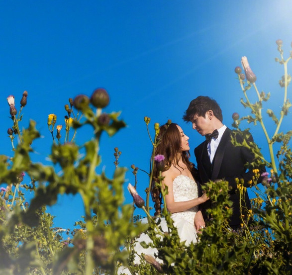 杨洋苏可大婚大婚唯美婚纱照曝光你有没有被惊倒