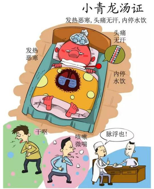 伤寒论里经典方,有人把它画了出来!