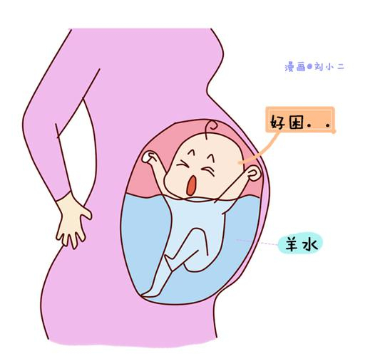 怀胎十月,胎儿在妈妈肚子里做些啥?生活竟这么丰富_手机新浪网