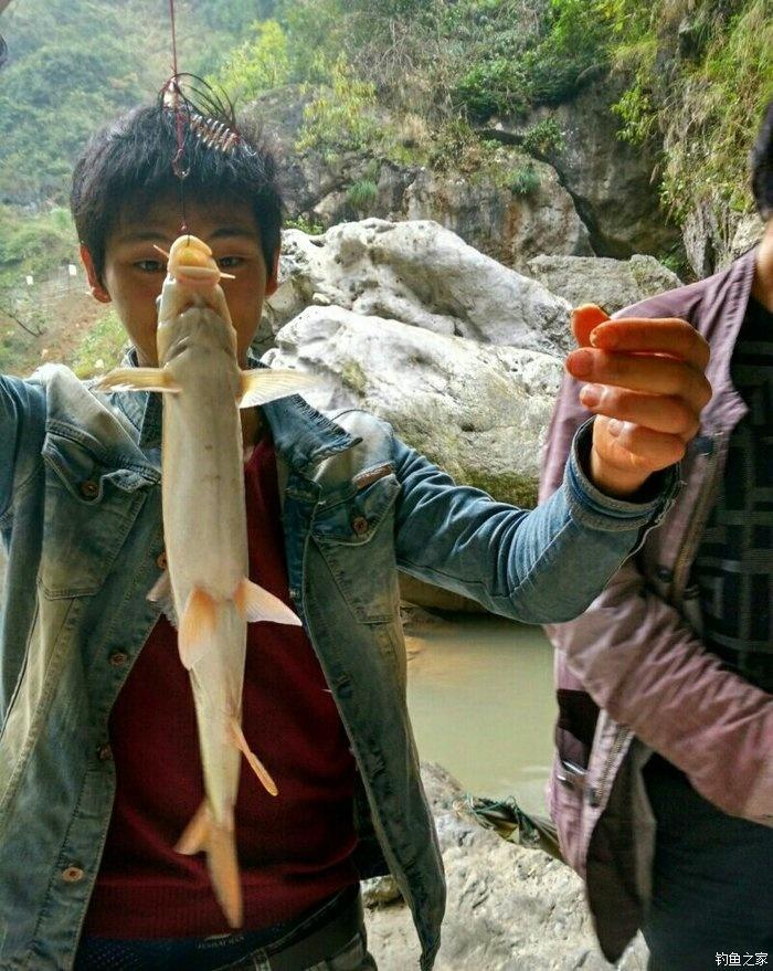 适应于高原及冷水性气候，生长缓慢，繁殖力低，需经6~9年体重才能达到0.5千克，一般要3~4龄才能性成熟。