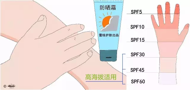 SPF30+的产品能提供长时间防护。