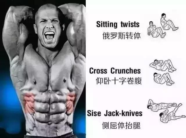 还忙着贴秋膘呢？