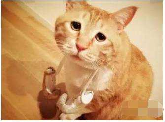 关于怎么吃的问题