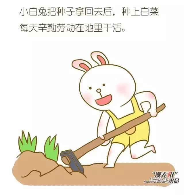 小白兔与小灰兔, 谁才是“好兔子”?