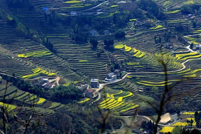 宜君县关键词seo排名优化