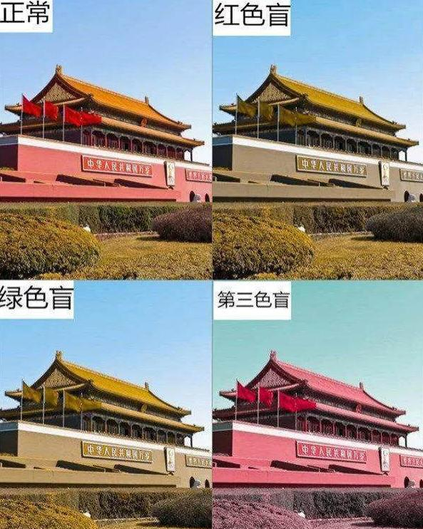 色盲眼中的世界到底是什麽样的?